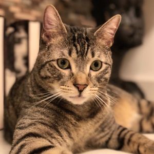 Meet your Posher, Christopher